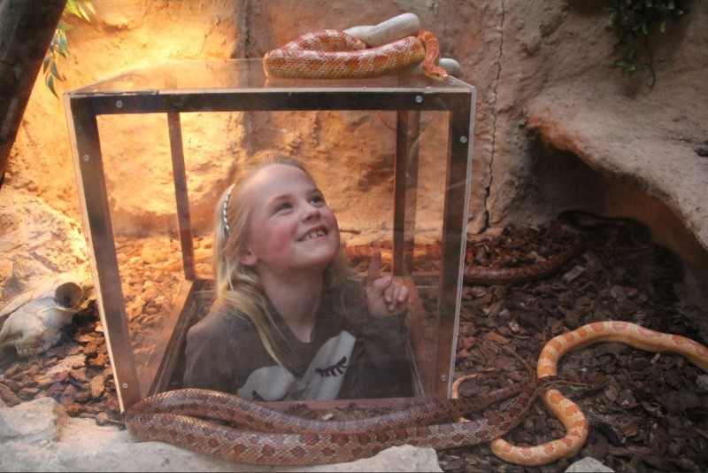 Dierenpark Almere Jungle viert tienjarig jubileum