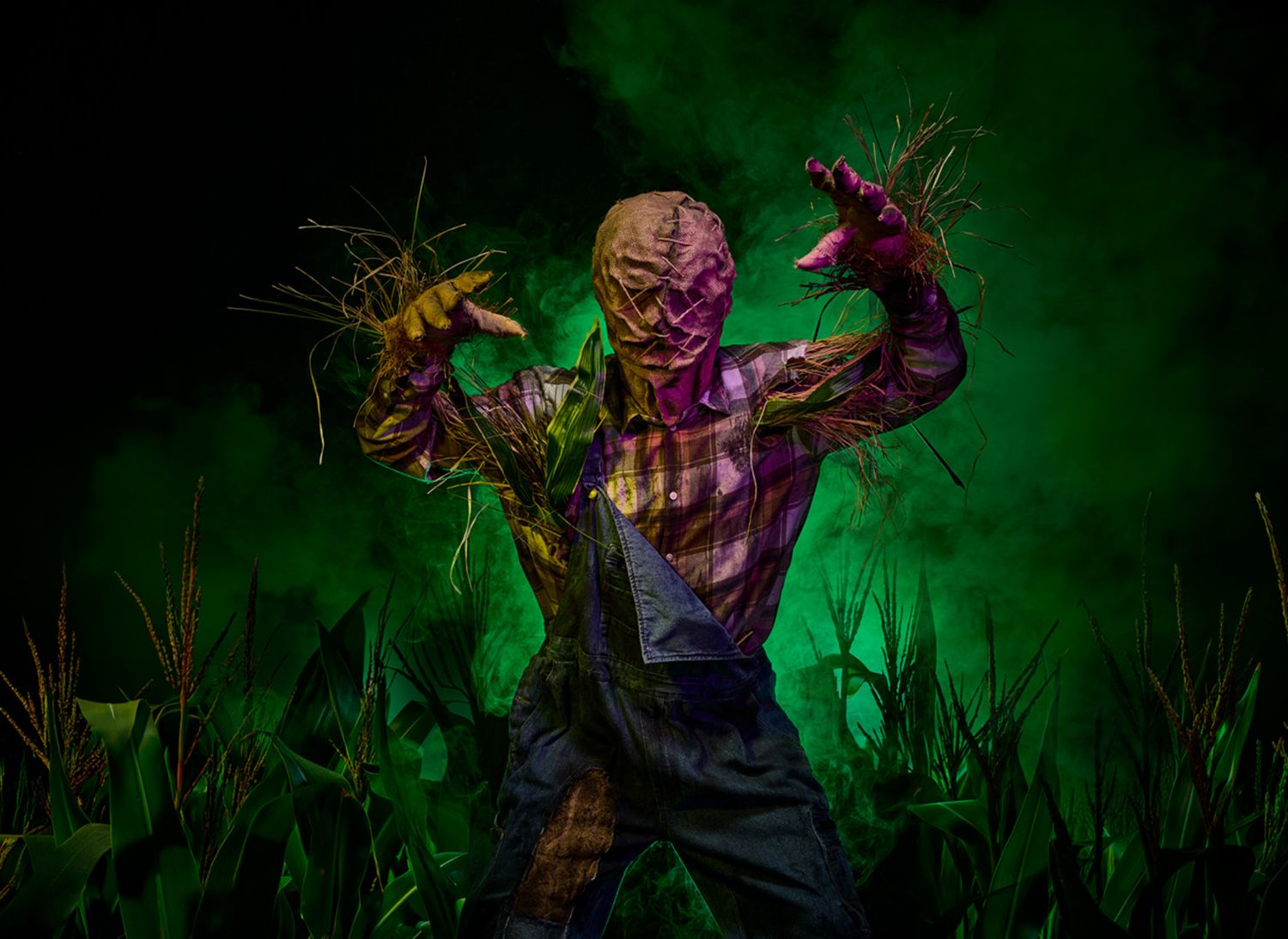 Het verlaten dorp in de Halloween-experience Entwined bij Toverland