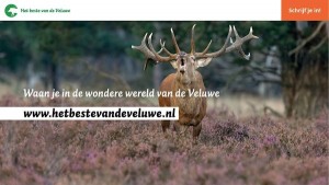 Banner Het beste van de Veluwe