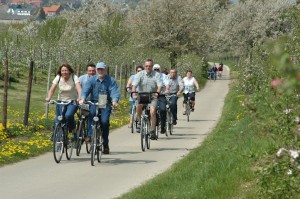 Bloesems & fietsers (c) Toerisme Vlaams-Brabant