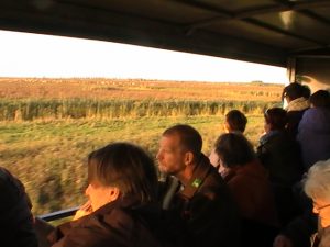 Staatsbosbeheer excursie Oostvaardersplasssen (De Nieuwe Wildernis)