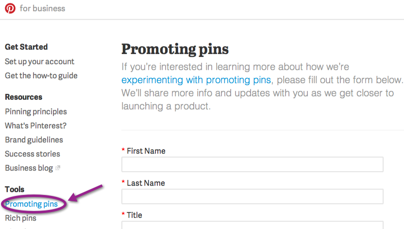 Promoted-Pins-aangekondigd-Pinterest-advertenties-2