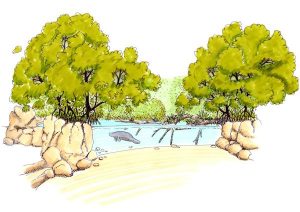 burgers mangrove