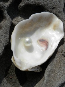 oester2
