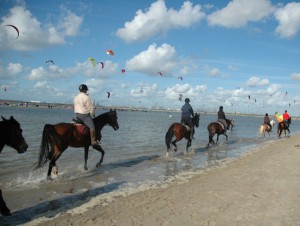 De Nederlandse kust bij Hoek van Holland