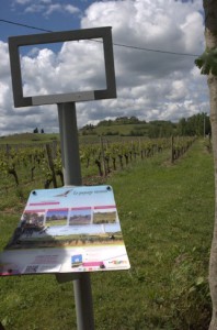infopaneel wijn(cultuur)landschap; met dank aan de EU.